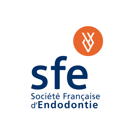 3MC-Concept - Logotype SFE