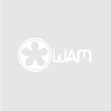 3MC-Concept - Logotype Wam France